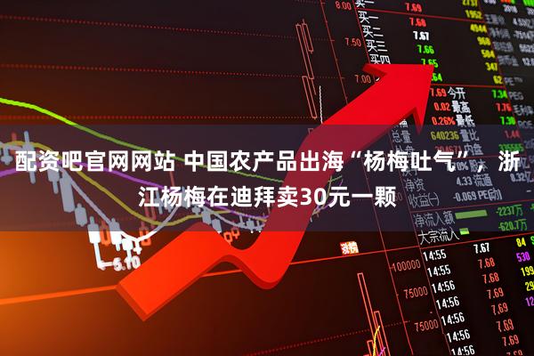 配资吧官网网站 中国农产品出海“杨梅吐气”，浙江杨梅在迪拜卖30元一颗